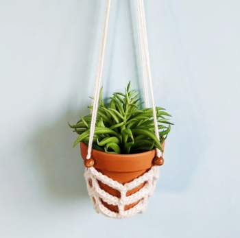 crochet plant hanger