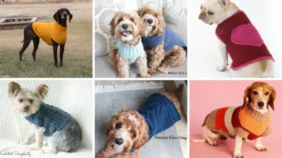 10 Free Patterns for Crochet Dog Sweaters (EASY) – Littlejohn's Yarn