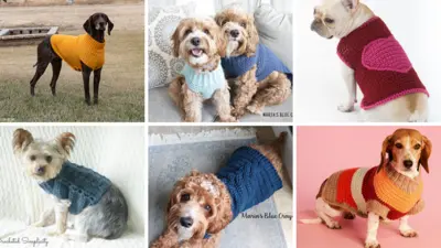 Free crochet clearance dog sweater patterns