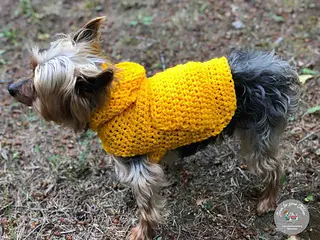 free crochet pattern for a dog sweater