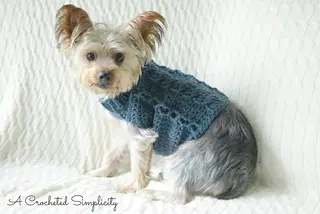 free crochet pattern for a dog sweater