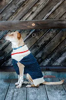 10 Dog Sweater Crochet Patterns - TimmelCrochet