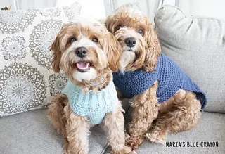 crochet sweater for dogs