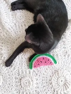crochet cat toys free pattern