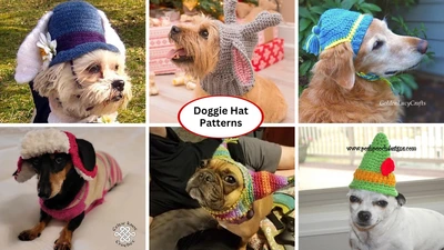 free crochet dog hat pattern