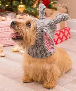 free crochet dog hat pattern