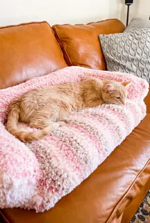 free crochet cat bed