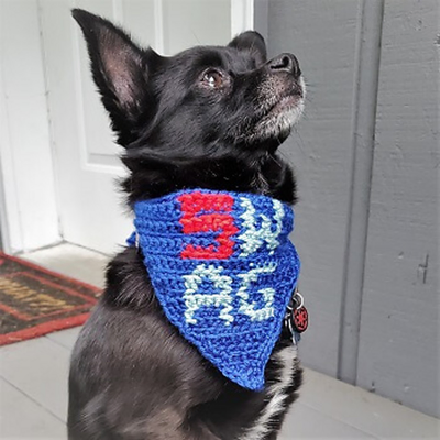 crochet dog bandana pattern on dog